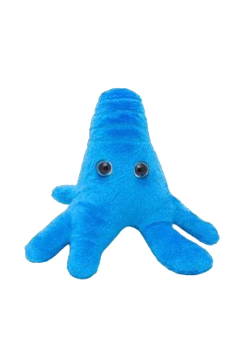 GiantMicrobes (peluche) - Amoeba Proteus (Ameba)-zoom-
