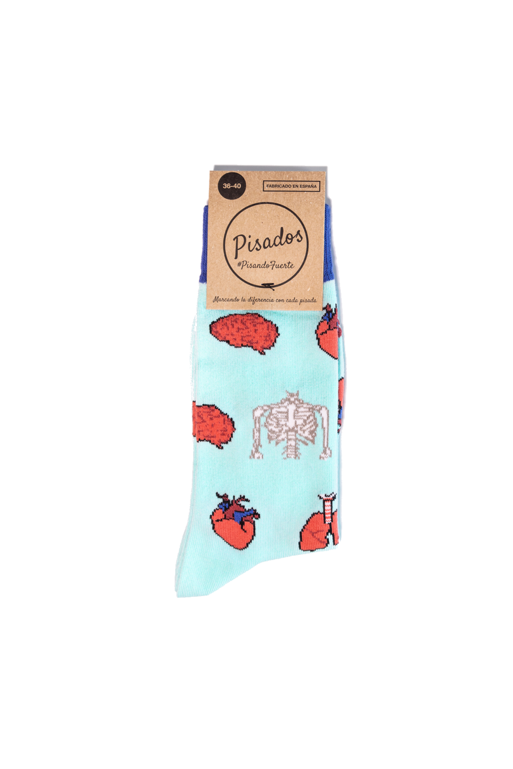 Printed Socks - Anatomy 
