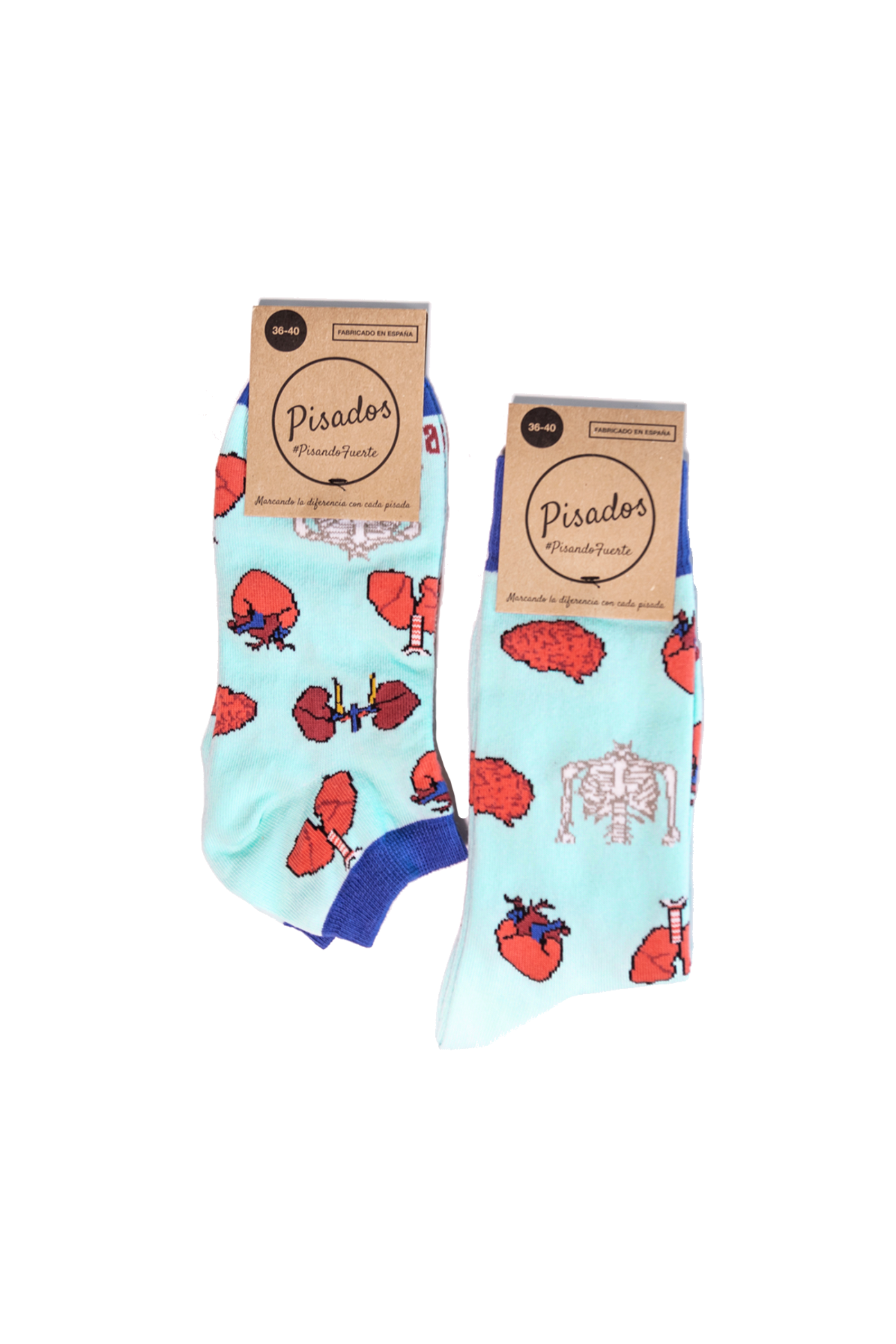 Printed Socks - Anatomy -2