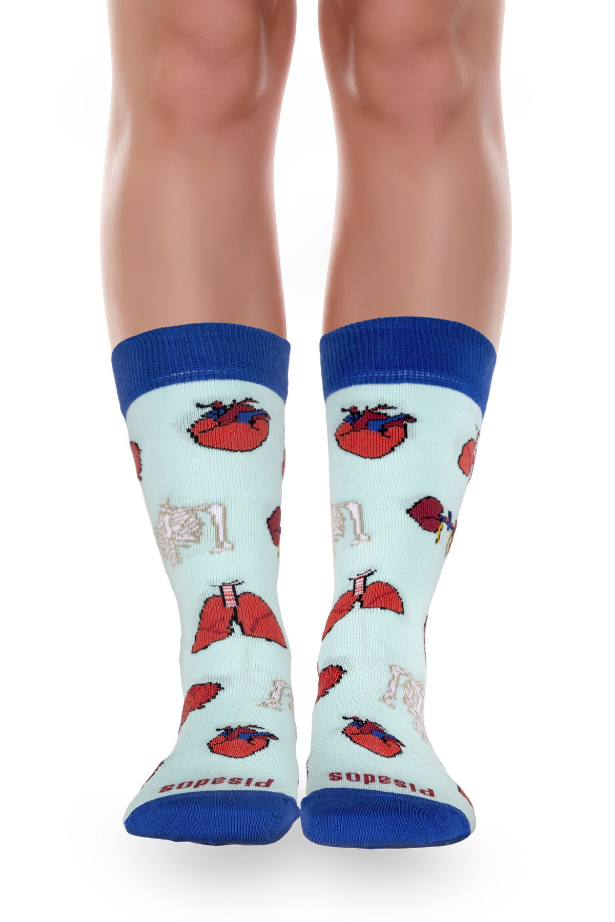 Calcetines Estampados - Anatomía