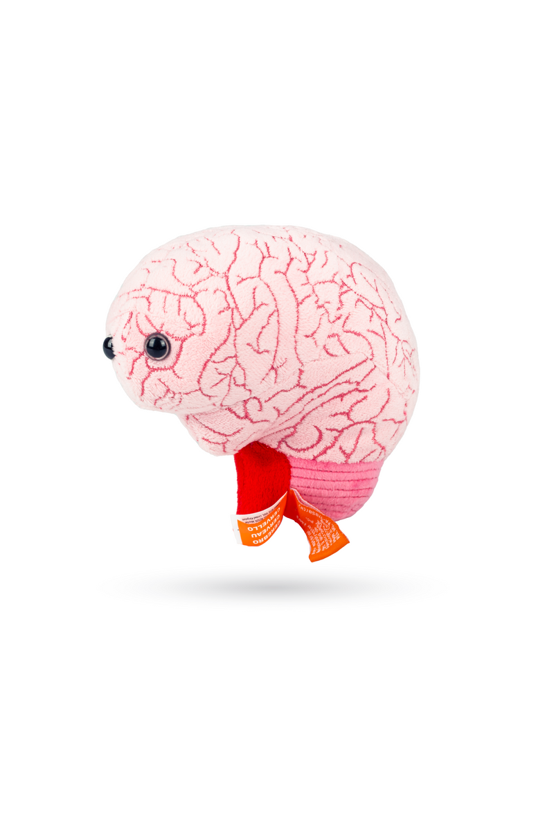 Giantmicrobes (plush toy) - Brain-zoom-