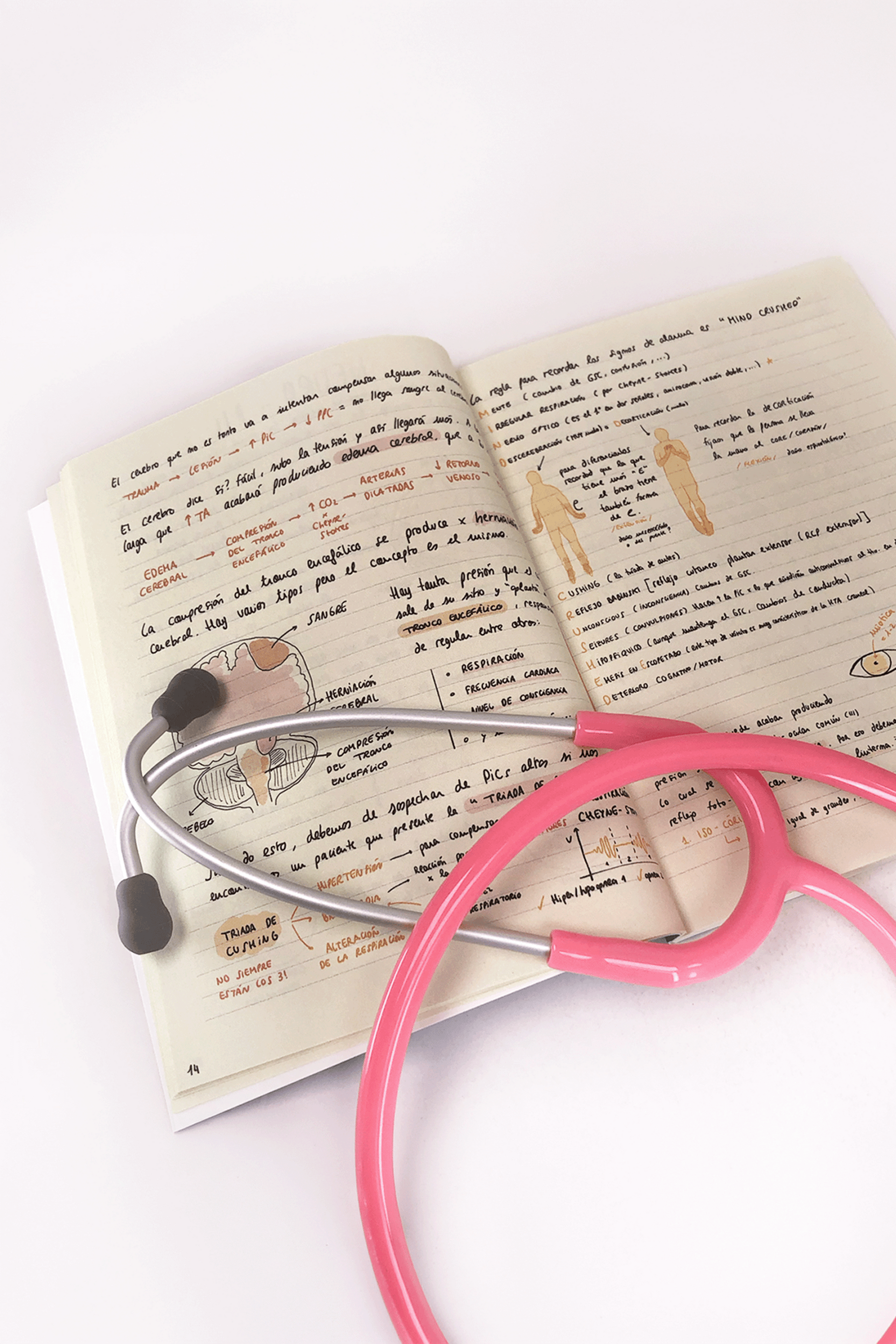 Book: ICU Survival Guide-4