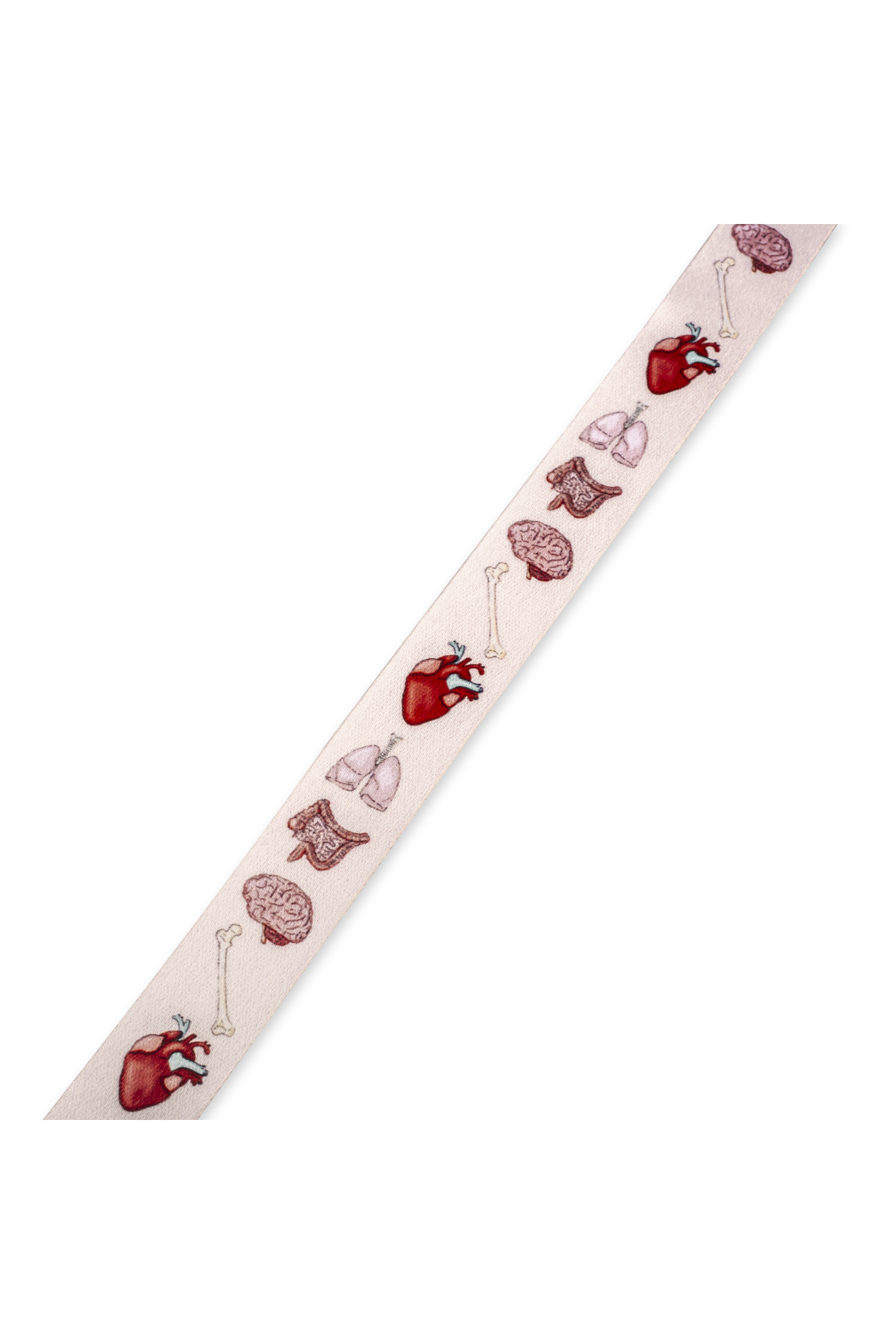 Multifunctional retractable lanyard - Organs Collection-zoom-2