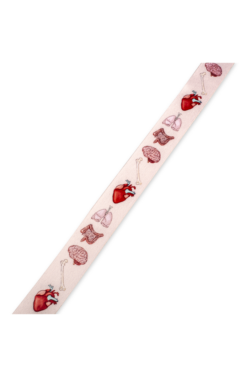 Multifunctional retractable lanyard - Organs Collection-zoom-