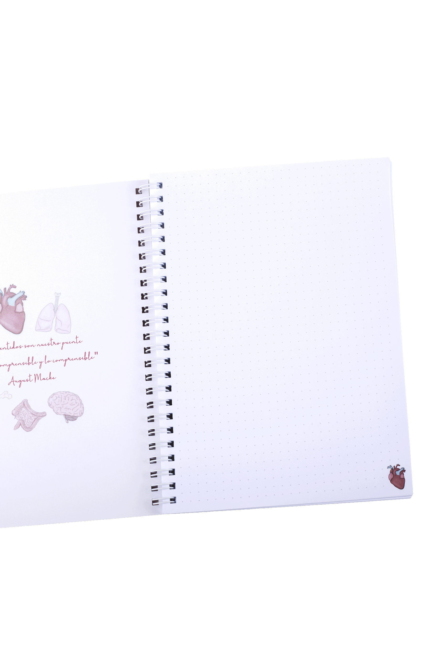 A5 Notebook - Organs-5