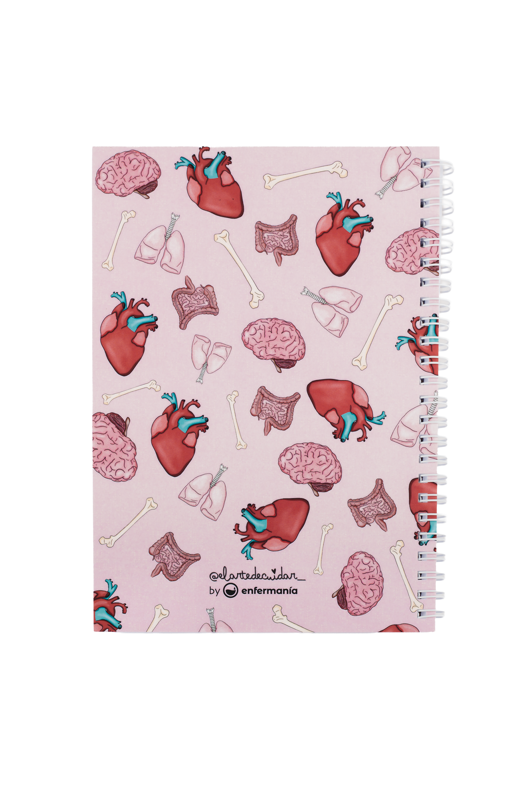 A5 Notebook - Organs-zoom-6