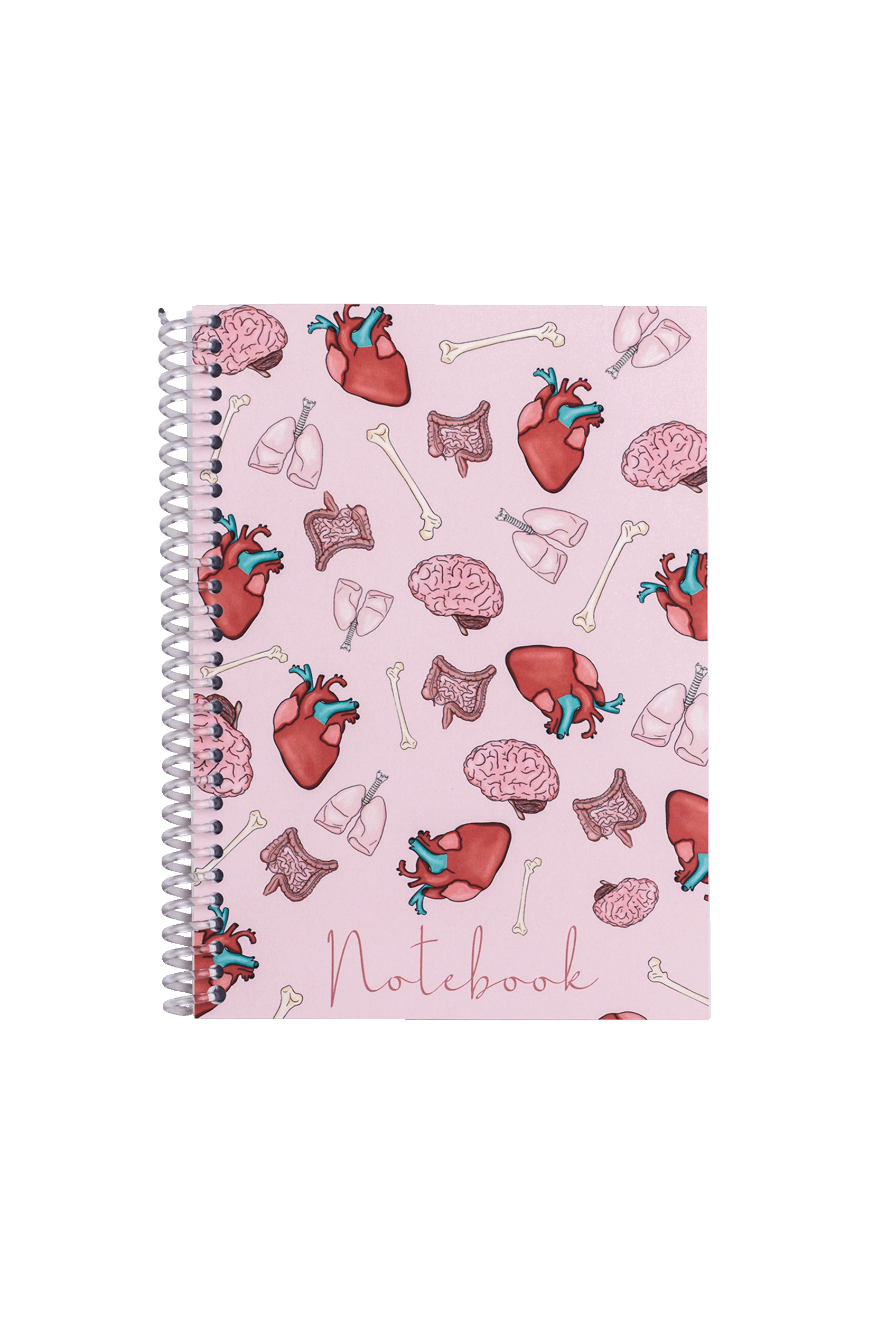 A6 Nursing Notebook - Organs-1