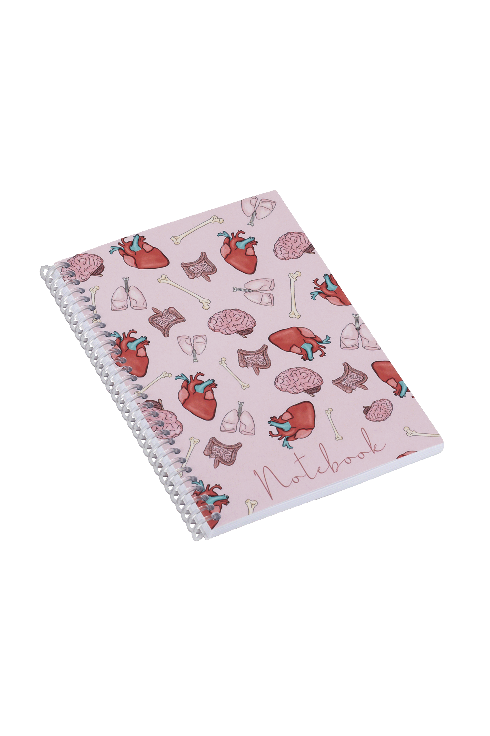 A6 Nursing Notebook - Organs-4