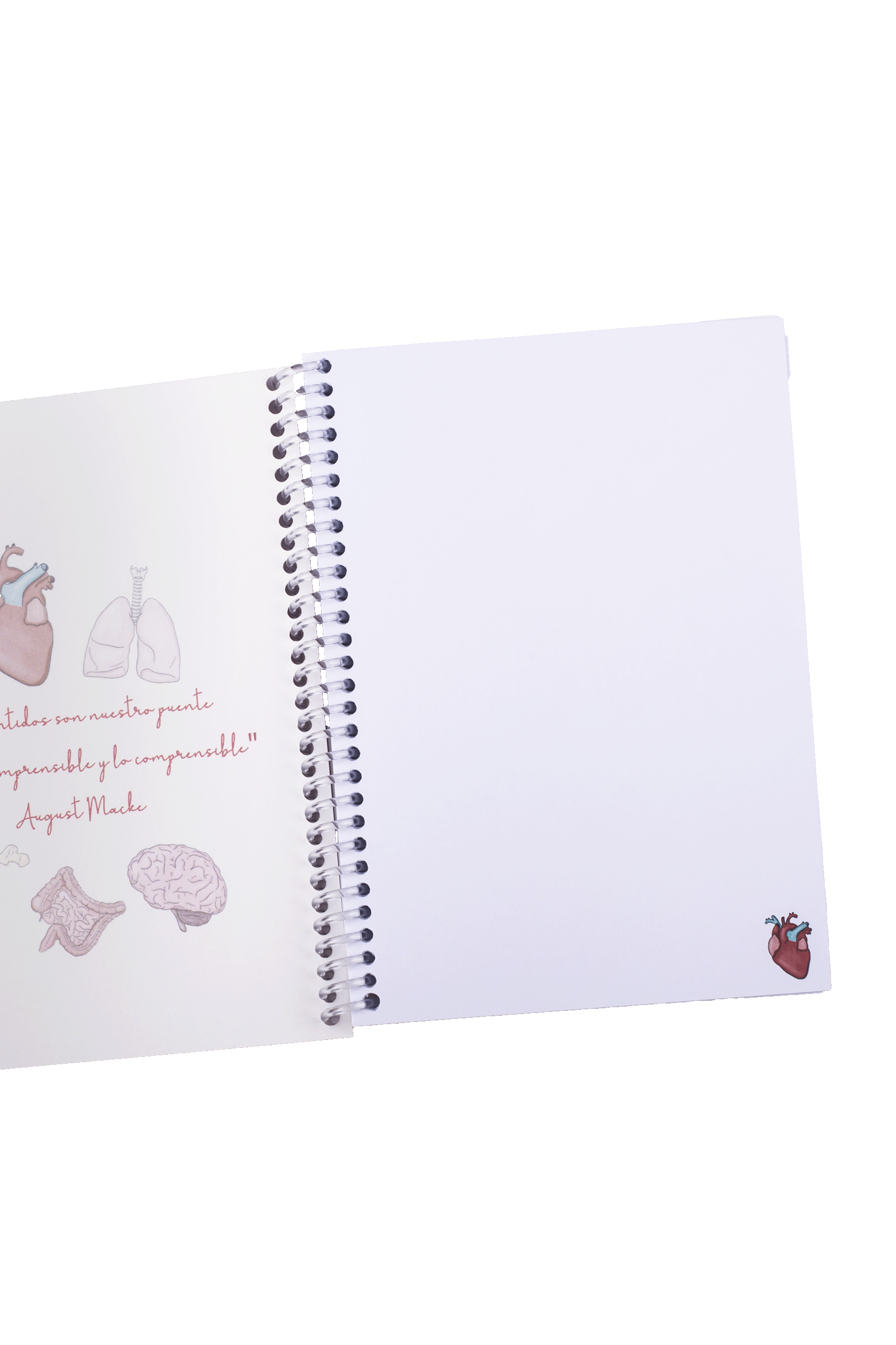A6 Nursing Notebook - Organs-5