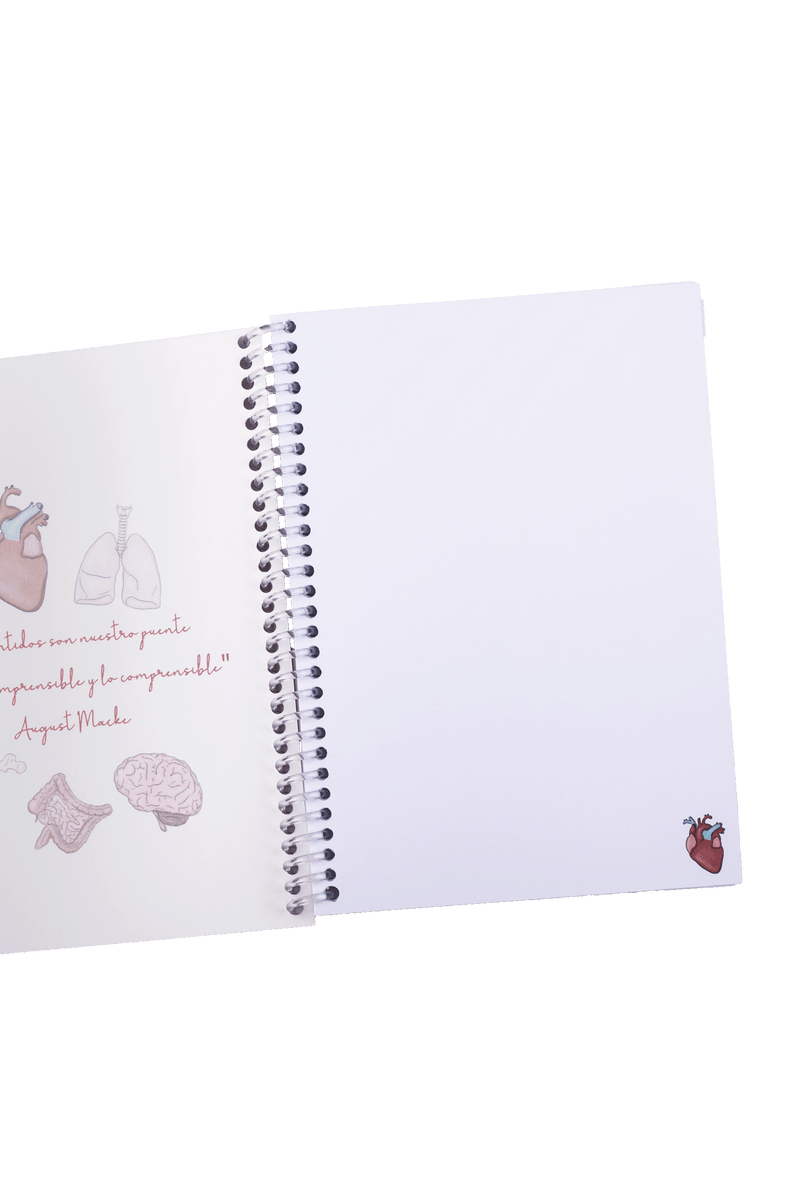 A6 Nursing Notebook - Organs-zoom-