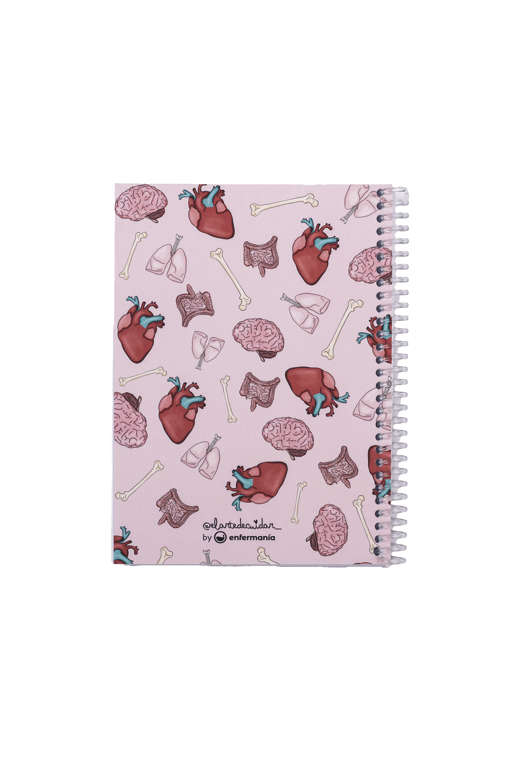 A6 Nursing Notebook - Organs-6