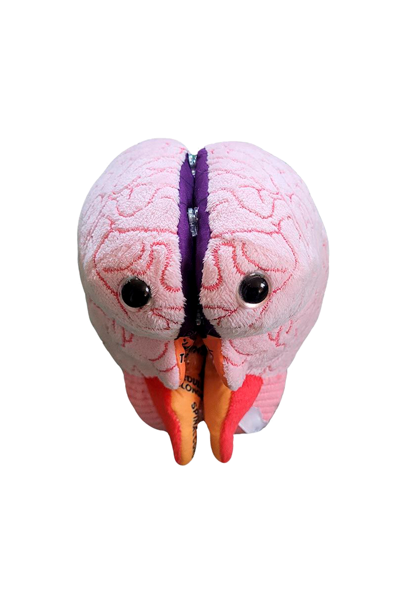 Peluche Cérebro Educativo GIANTmicrobes-zoom-