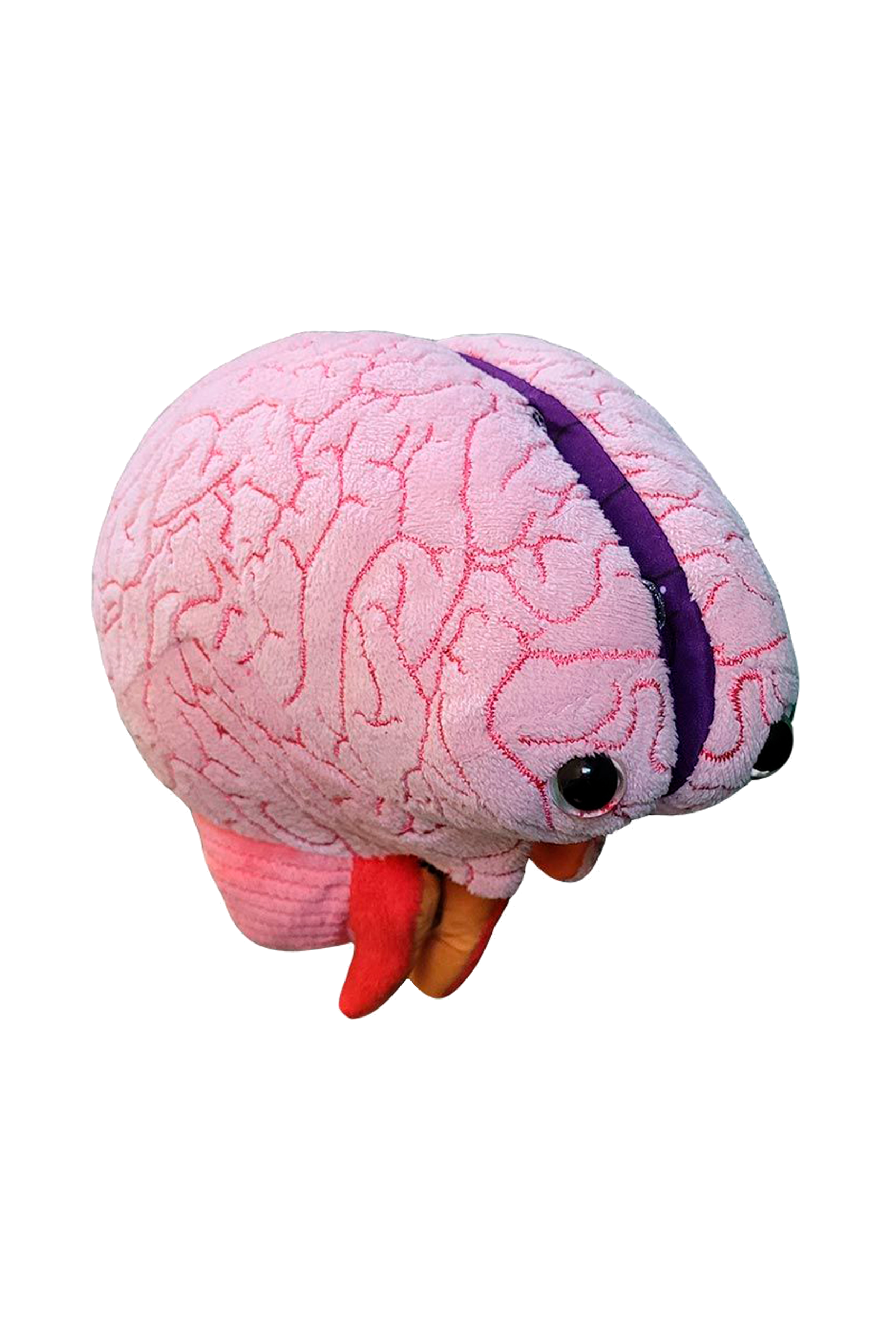 Peluche Cérebro Educativo GIANTmicrobes
