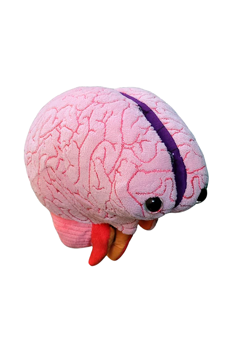 Peluche Cérebro Educativo GIANTmicrobes-zoom-
