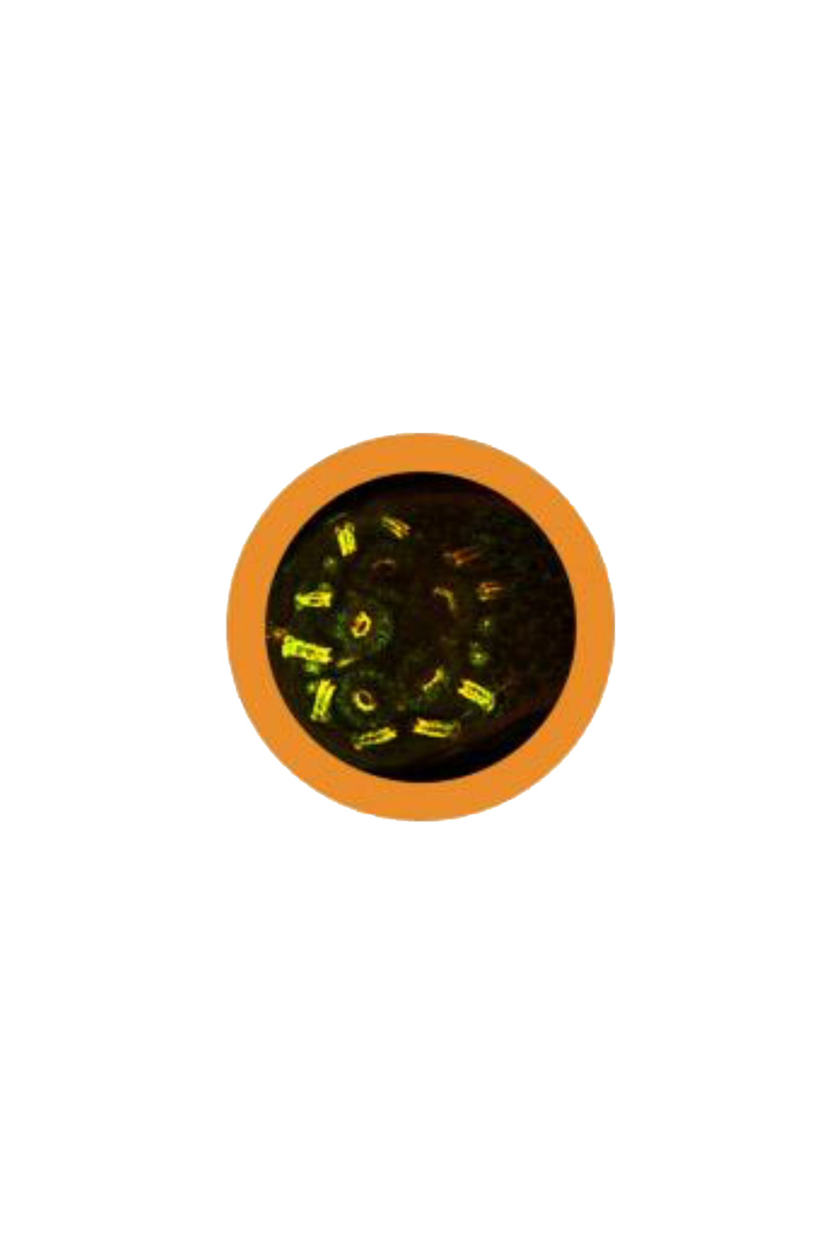 Porta-chaves Giantmicrobe - Anticorpo-zoom-3