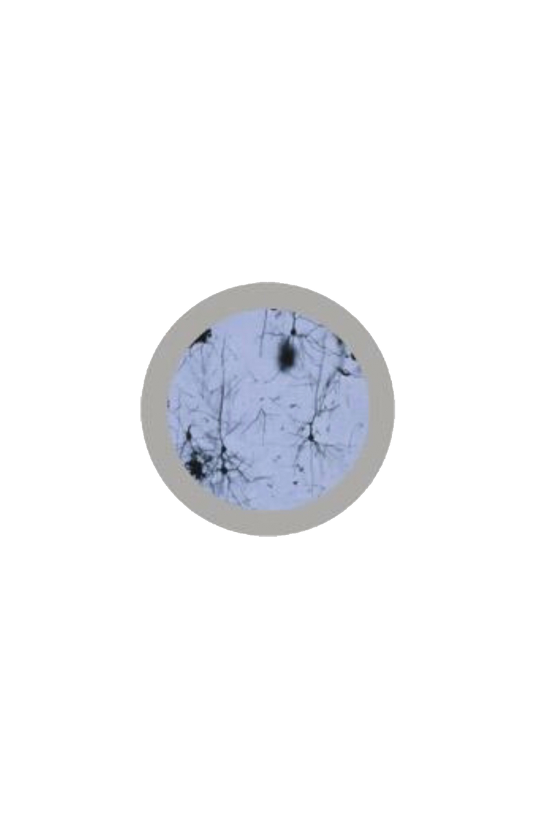 Giantmicrobe Keychain - Graduated Neuronal Cell-zoom-