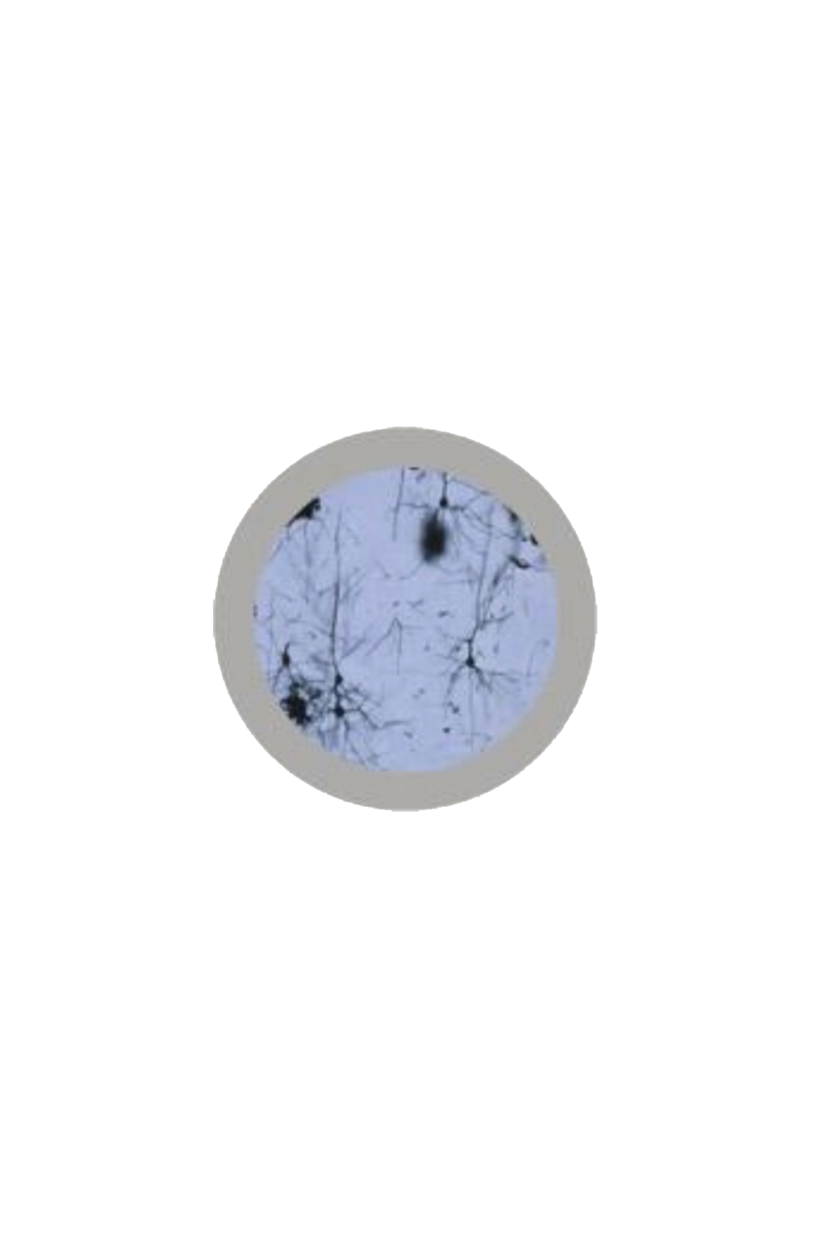 Chaveiro Giantmicrobe - Neurónio-zoom-3