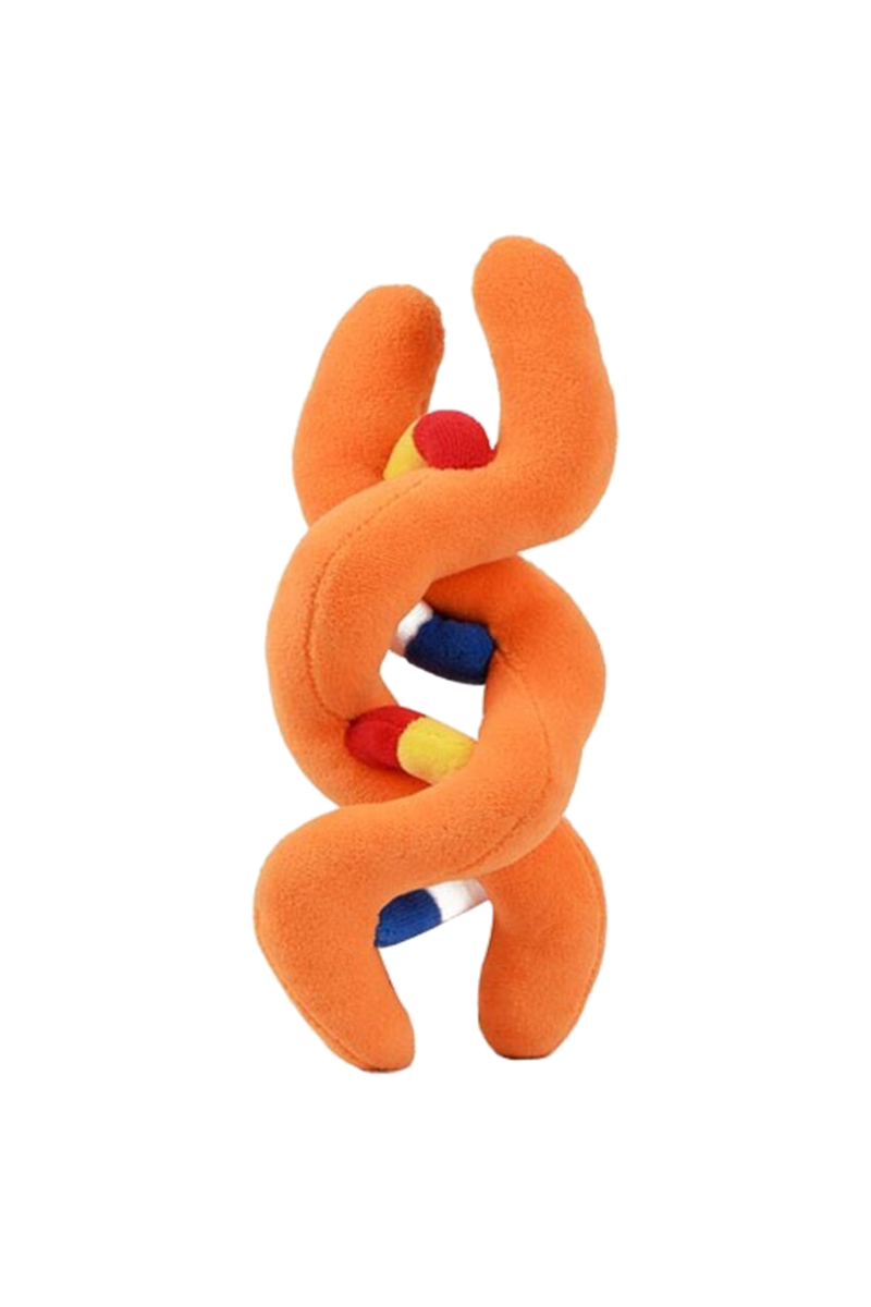 Giant microbes - DNA-zoom-