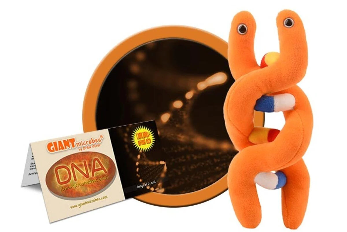 Giant microbes - DNA-6