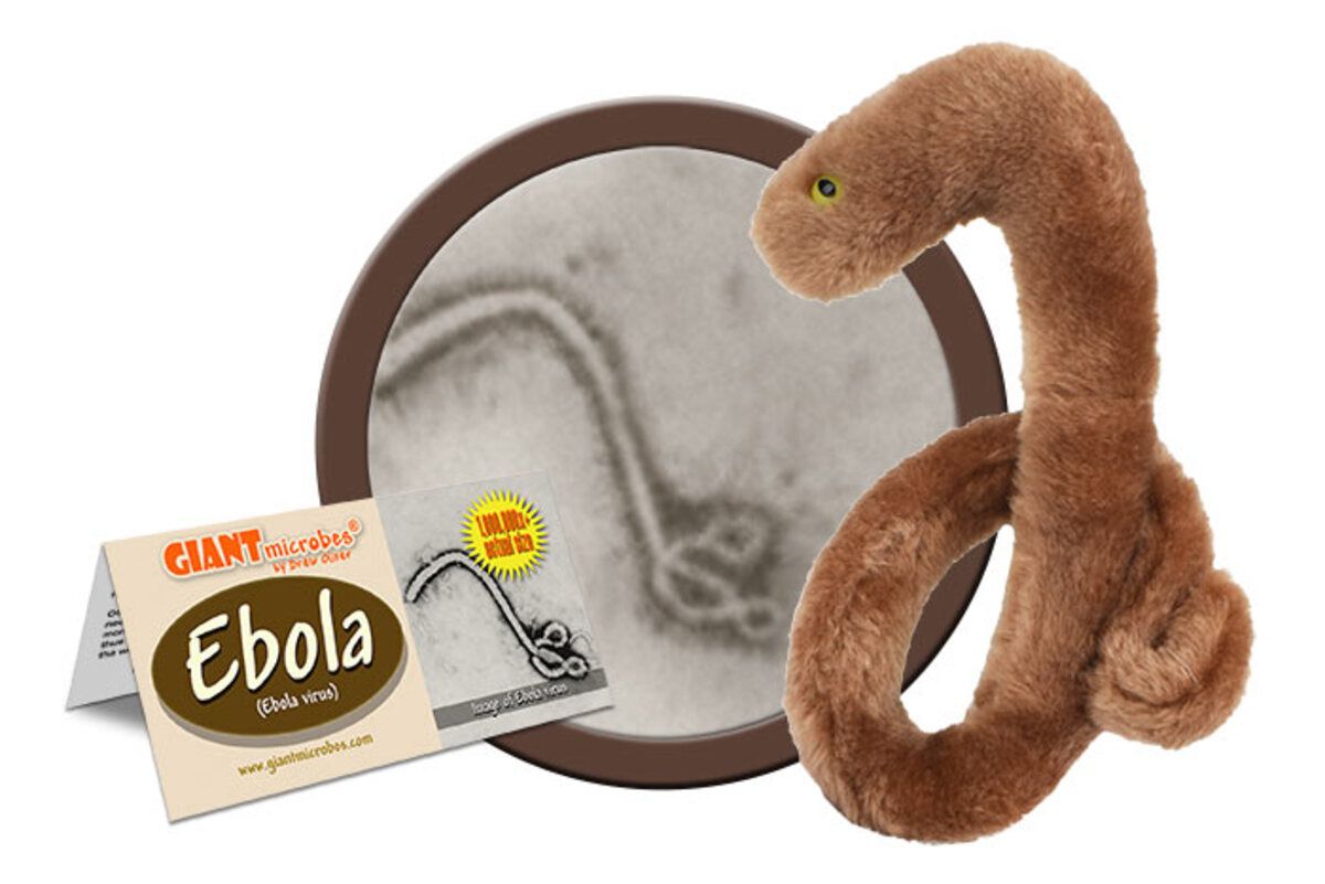 GiantMicrobes (plush) - Ebola-zoom-6