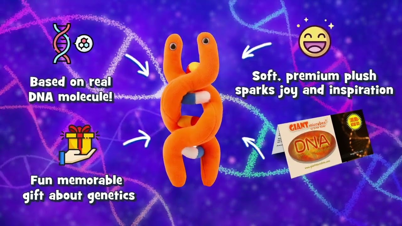 Giant microbes - DNA-zoom-7