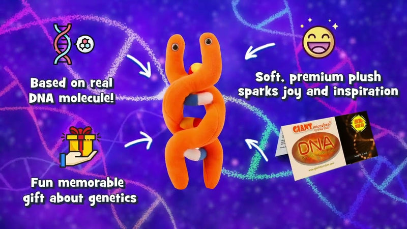 Giant microbes - DNA-zoom-