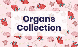 Organs Collection